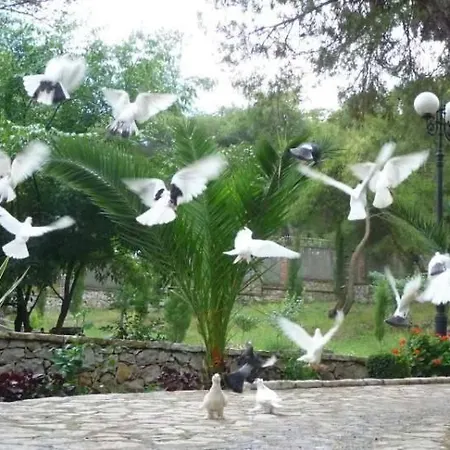 Park Marku Shkodra